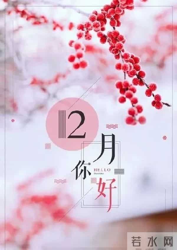 2025年12月1日早上好 ！早安精美图片 ， 周一快乐 早安吉祥！