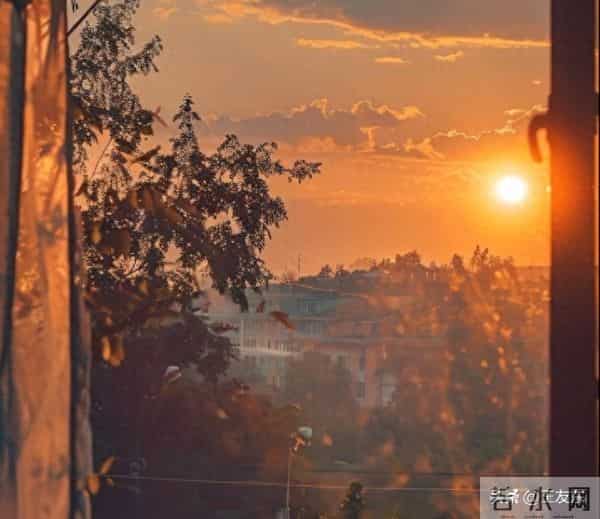 人到中年，最大的觉醒就是，不期待，不依赖，不指望，不多想