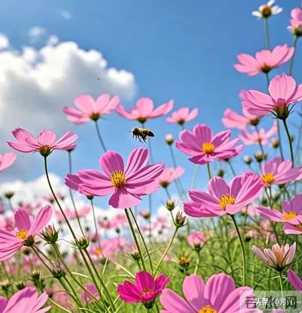 年过55才懂：兄弟姐妹翻脸后，这4种情况坚决不和解，早断早清净