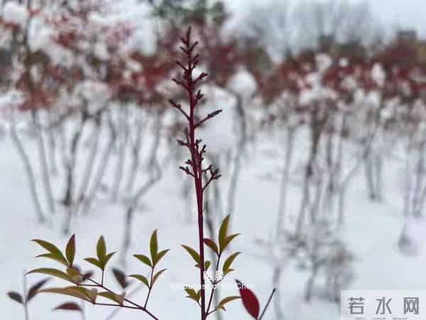 别再忍了！敢于冲突的人，反而更被尊重