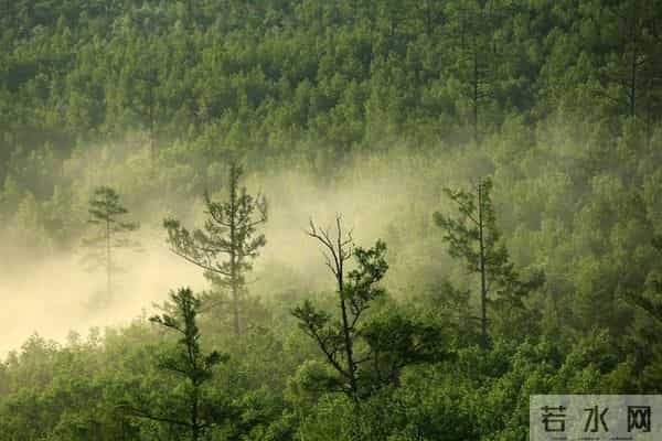 发现一个奇怪的现象：无论和谁打交道，适当的强势，你才会被尊重