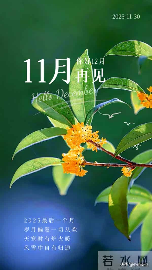 11再见文案图片，十一月最后一天朋友圈语录配图