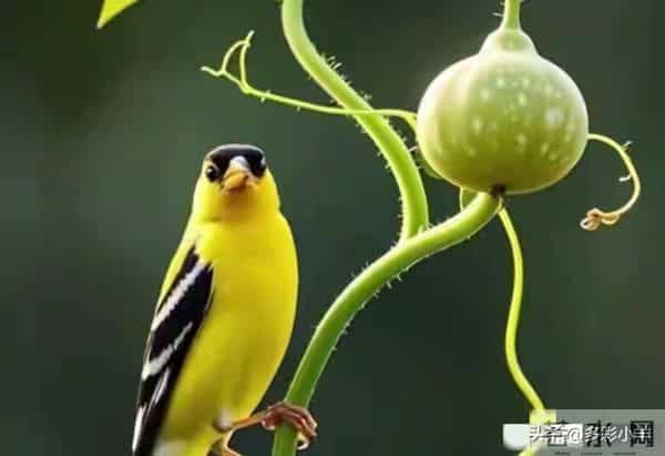 两性关系：不管你信不信，女人过50岁，都有如下7个症状，要接受