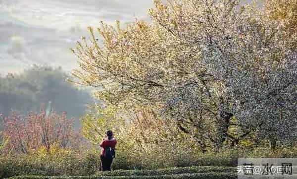 别为“消耗品朋友”折腾自己：学会在关系里留底气，人生通关秘籍