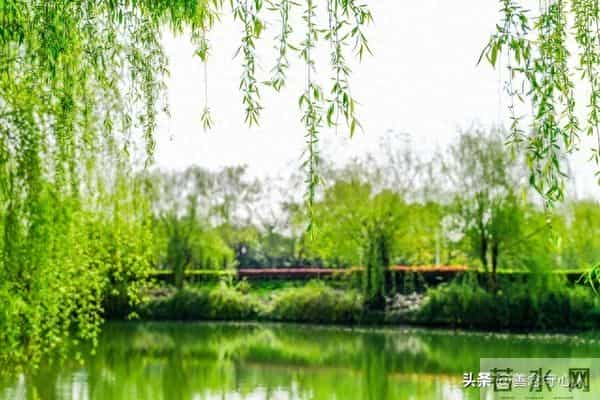 人老了才发现，90%以上的女婿其实都在看女儿的态度，很正常