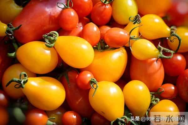 做人做到这个境界，才是真成功！ 太精辟了！