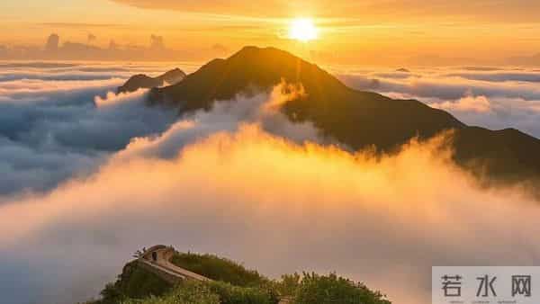 重度抑郁快速上岸，核心经验大公开