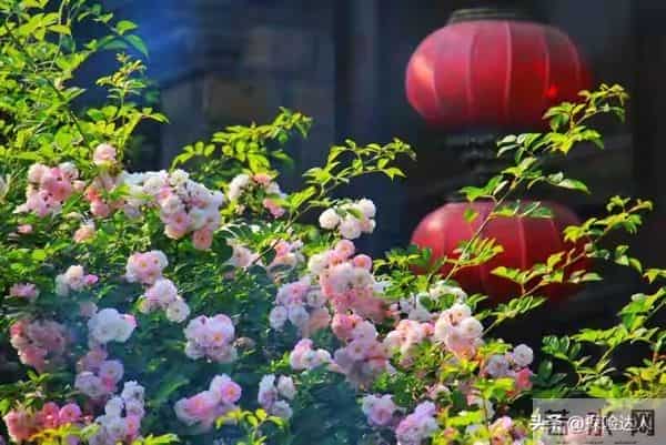 人有五相，不富也旺一个女人拥有这5种面相，很有福气