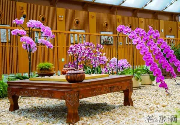 男人一碰女人这里，她就立马投降的两处“死穴”