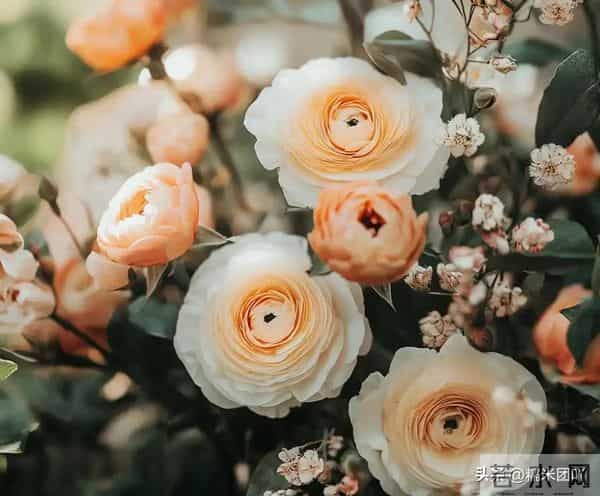 中年男人越是喜欢你，见到你之后，这些反应越明显