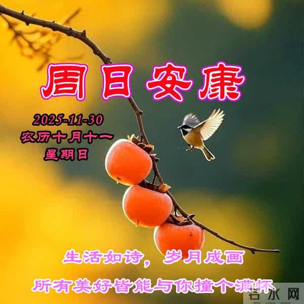 周日早安问候美图-生活如诗 岁月成画，所有美好皆能与你撞个满怀