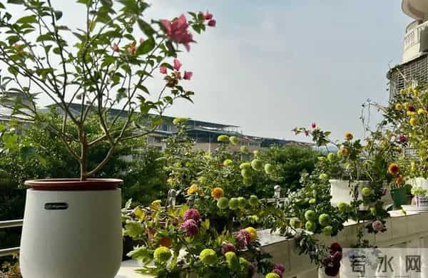 我是一个58岁女人，说句大实话：跟男人过日子，不要嫌弃和抱怨他