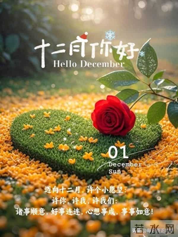 早安十二月，第一天晨语：在冬日积蓄力量，让努力绽放冬日暖阳