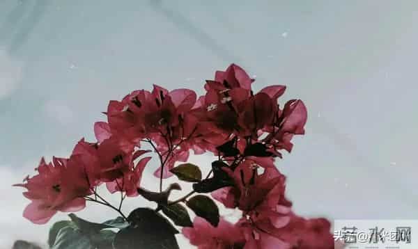 搞定中年女人，只靠这3个小动作，她会主动靠近你