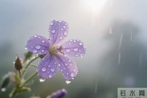 父母走后，请停止对以下亲戚的“付出”，真的没什么意义