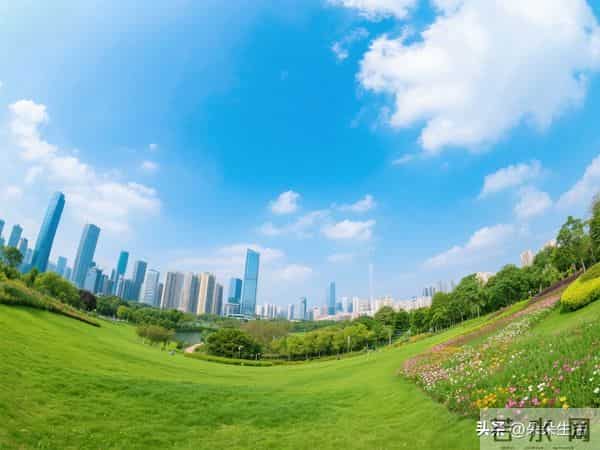 我退休金1万，多吃一块羊排女婿差点动手，当场断掉他们6000补贴