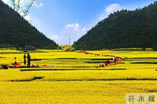 新型第三者，正悄悄破坏我们的婚姻！很多人还浑然不觉