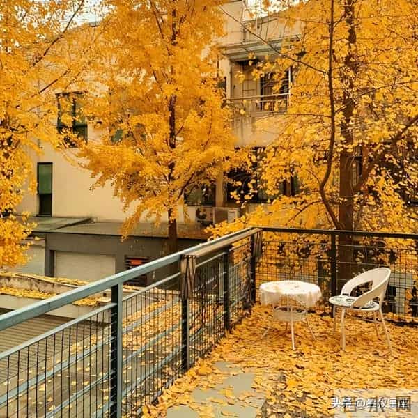 12月感情运大洗牌！这三个星座，旧情复燃几率较高，你在其中吗？