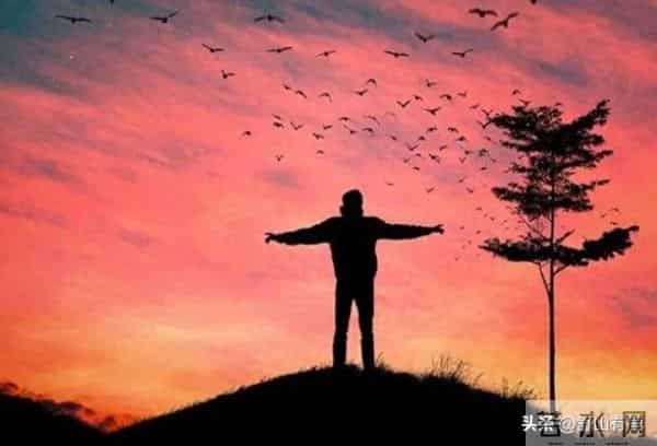 一个真相：大部分人的命，缺乏这3样东西，都不够硬