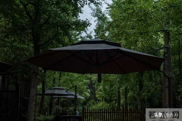 故事：婆媳关系（5）