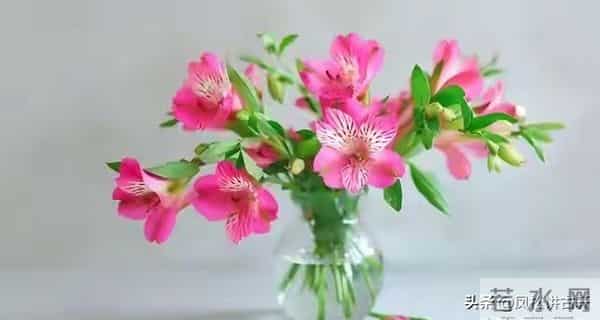 女人主动“勾”男人时，常会说这2句话，男人别听不懂