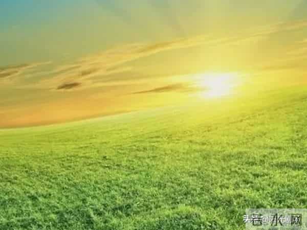 当今社会，女人最喜欢男人什么