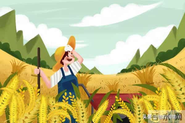 儿子娶了个二婚带娃的女人，我把那孩子当亲孙子看待，儿媳很感动