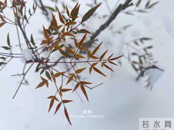 别再忍了！敢于冲突的人，反而更被尊重