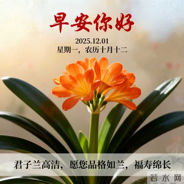 2025.12.01 十二月首日晨风寒 热粥暖胃启新程 早安奋斗好运连