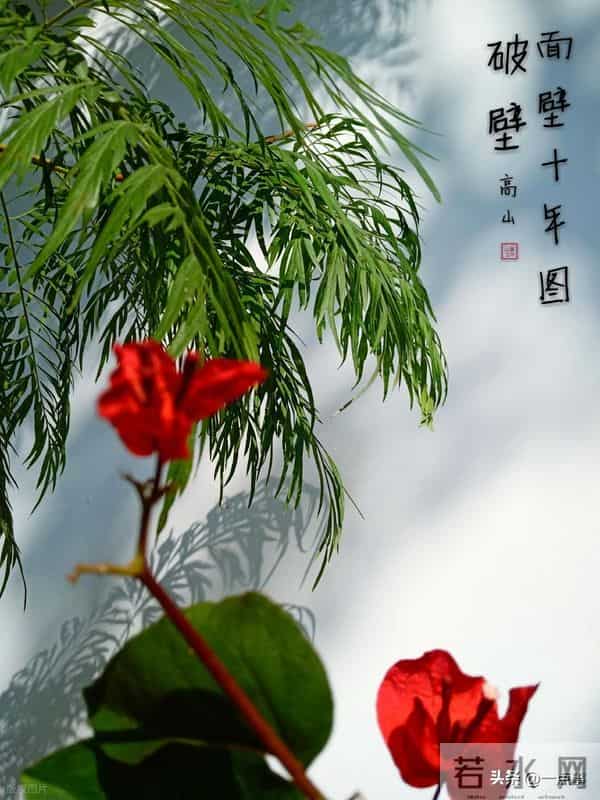 56岁男子将母亲从弟弟家接回，却让退休妻子照顾，结果把自己坑惨