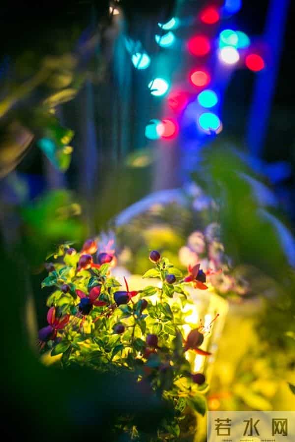 聪明的女人，发现男人不爱自己时，会这样处理