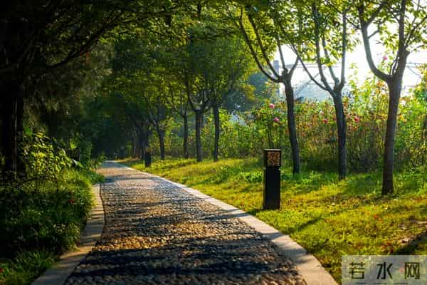 桃花杀疯了！月老偏爱的星座，新欢旧爱排队来