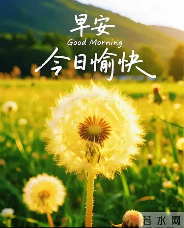 「2025.12.1」今日18张早安祝福图片问候，温馨早上好祝福语