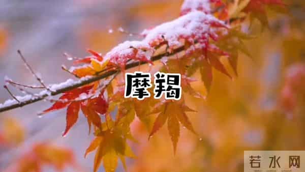 看似不争不抢，实则步步为赢！这三大星座，越从容越富贵