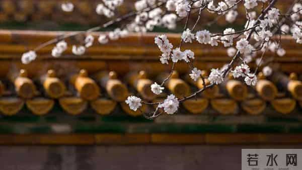 姑姐说我没把婆婆照顾好，退休亲自伺候婆婆，一周她说再也不管了