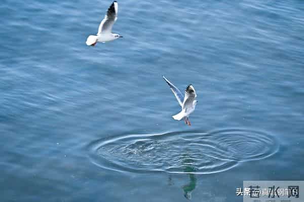 2026财富新赛道，谁将笑到最后？