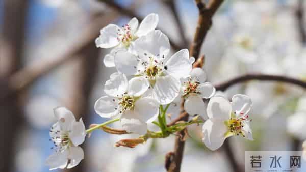 我哥借30万给侄子买房，我让他打借条签合约，母亲说我不孝没亲情