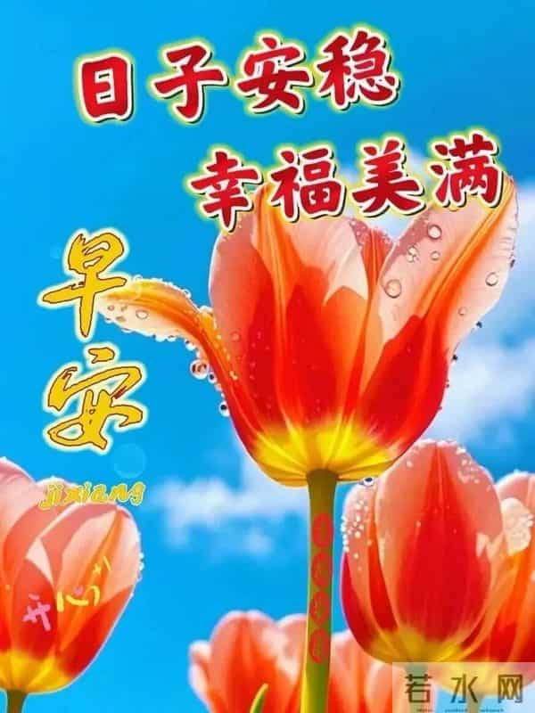 11月30日周日早上好 愿我们伴着不老的岁月 永远走在开心快乐的路上