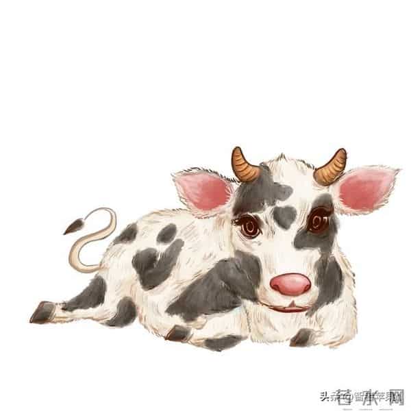 谁说52岁是下坡路？对属牛人来说，人生真正的“王炸”才刚刚出手