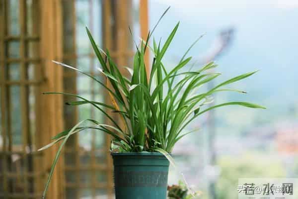 男人一碰女人这里，她就立马投降的两处“死穴”