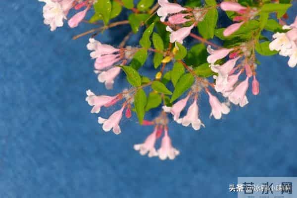 女人默许升温时，身体藏不住的3种自然反应