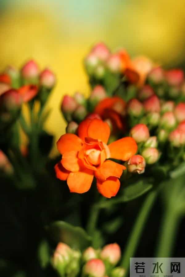 事实证明，女人想你了，会发出这样的信号