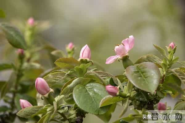 90%的情人走不到最后，不是因为没钱没性，而是少了这个关键字