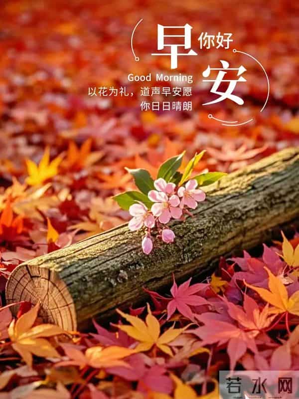 十二月第一天你好愿冬雪藏温柔，岁月赠安暖愿你梦之所及洒满欢笑