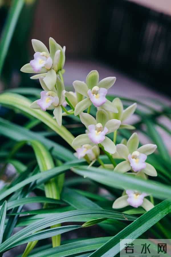 拿下一个女人的关键：墨菲定律