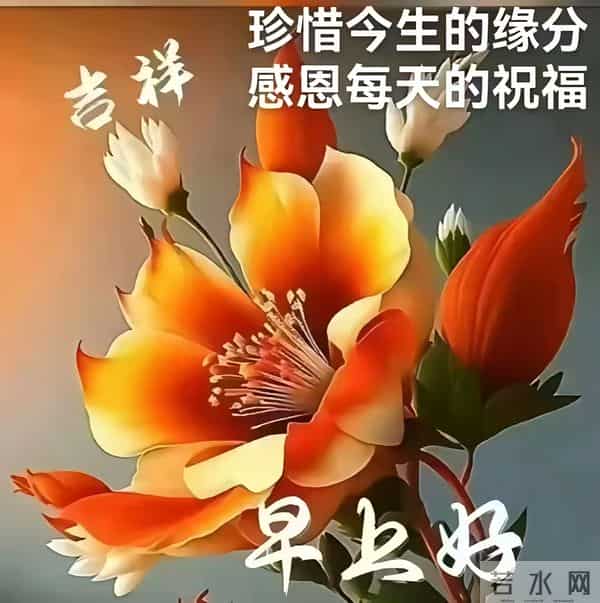 2025年11月30日，星期日，农历十月十一，早安吉祥祝福语！