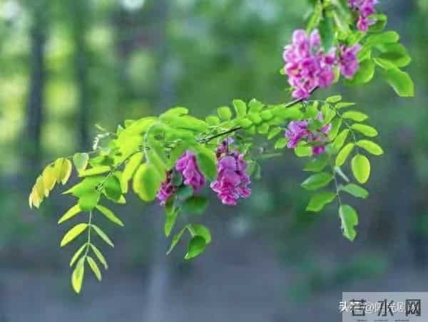 当今社会，女人最喜欢男人什么