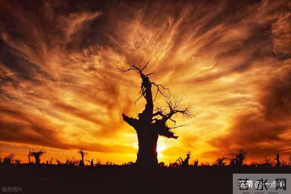 岳母住院我拒绝出钱救人，15年后母亲卧床，没想到老伴做得更绝