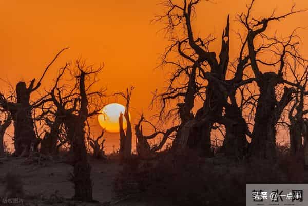 岳母住院我拒绝出钱救人，15年后母亲卧床，没想到老伴做得更绝