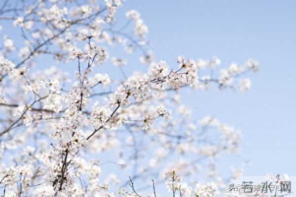 两性关系：女人是容易被"勾引"的三个秘密，第二个打死都不会说